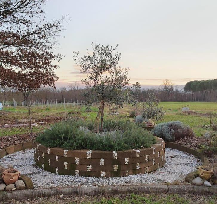 Villa Donnola: Casa Rosmarino フチェッキオ エクステリア 写真
