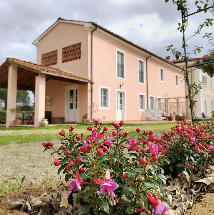 Villa Donnola: Casa Rosmarino フチェッキオ エクステリア 写真