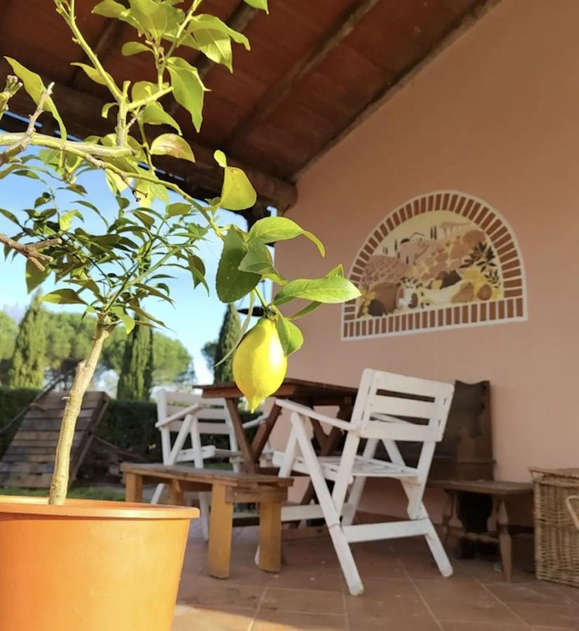 Villa Donnola: Casa Rosmarino フチェッキオ エクステリア 写真