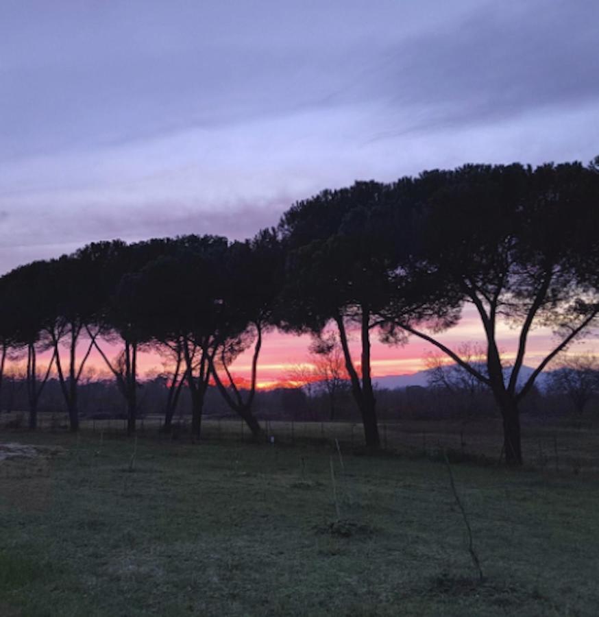 Villa Donnola: Casa Rosmarino フチェッキオ エクステリア 写真