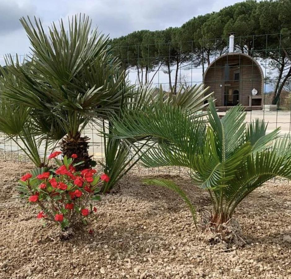 Villa Donnola: Casa Rosmarino フチェッキオ エクステリア 写真